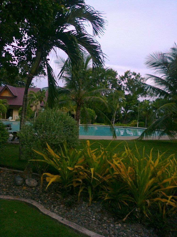 Bohol Divers Resort Totolan Екстер'єр фото